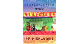山东省非物质文化遗产音像集—莱芜卷《木偶戏--贾家洼村傀儡戏》2