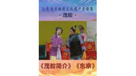 山东省非物质文化遗产音像集—茂腔《茂腔简介》《东京》5