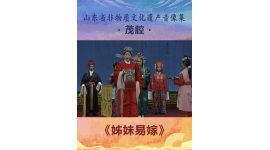 山东省非物质文化遗产音像集—茂腔《姊妹易嫁》3