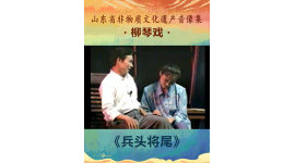 山东省非物质文化遗产音像集—柳琴戏《兵头将尾》4