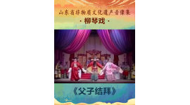 山东省非物质文化遗产音像集—柳琴戏《父子结拜》5