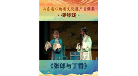 山东省非物质文化遗产音像集—柳琴戏《张郎与丁香》5